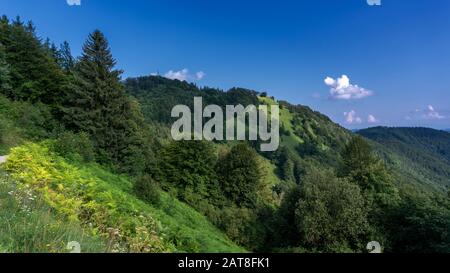 Grüner Fichtenwald am Hang am späten Nachmittag im Frühjahr oder Sommer, Blick auf den Hügel von Mrzlica, Slowenien, weiße Wolke am blauen Himmel Stockfoto