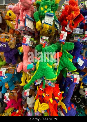 Orlando, FL/USA-1/29/20: Eine Anzeige verschiedener Marken von farbenfrohem Hundespielzeug zum Verkauf in einem Petsmart Superstore, das für Besitzer von Haustieren zum Kauf bereitsteht Stockfoto