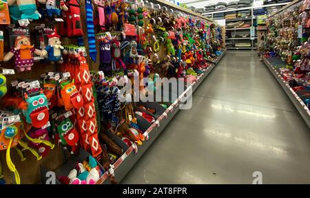 Orlando, FL/USA-1/29/20: Eine Anzeige verschiedener Marken von farbenfrohem Hundespielzeug zum Verkauf in einem Petsmart Superstore, das für Besitzer von Haustieren zum Kauf bereitsteht Stockfoto