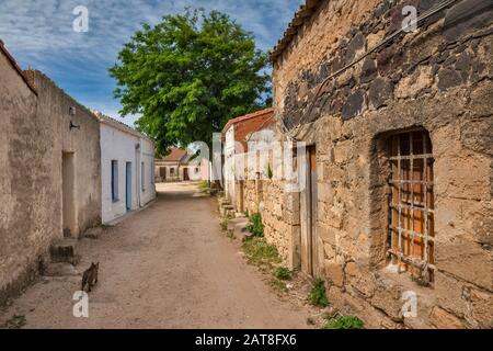 Einsame Katze auf der Straße in einer einsamen Ortschaft von San Salvatore, Sinis Peninsula, Gemeinde Cabras, Provinz Oristano, Sardinien, Italien Stockfoto