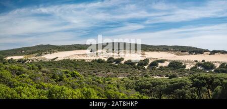 Dune di Piscinas, in der Nähe von Spiaggia Piscinas Strand, Arburese Gebirge in der Ferne, Costa Verde, Provinz Sud Sardegna, Sardinien, Italien Stockfoto