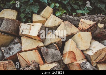 Brennholzstapel in natürlicher Umgebung Stockfoto