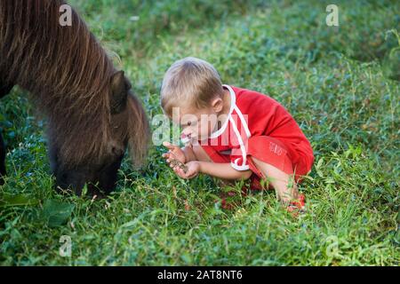 Junge mit Falabella Pony, Normandie Stockfoto