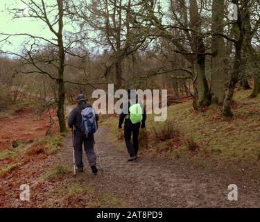 Milngavie, Glasgow, Schottland, Großbritannien, 31. Januar 2020: UK Wetter: Nass und windig im Allander Park Milngavie, als im Mugdock Country Park am West Highland Way heftiger Regen fiel. Copywrite Gerard Ferry/ Alamy Live News Stockfoto