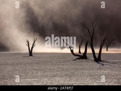 Silhouetten von trockenen hundert Jahre alte Bäume in der Wüste unter roten Sanddünen. Ungewöhnlich, surreal alien Landschaft mit toten Skelette Bäume. Deadvlei, Na Stockfoto