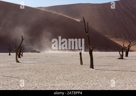 Silhouetten von trockenen hundert Jahre alte Bäume in der Wüste unter roten Sanddünen. Ungewöhnlich, surreal alien Landschaft mit toten Skelette Bäume. Deadvlei, Na Stockfoto