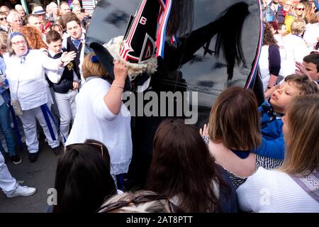 Menschenmassen folgen der Obby Oss-Prozession mit blauen Bändern, Padstow, Cornwall, Großbritannien Stockfoto