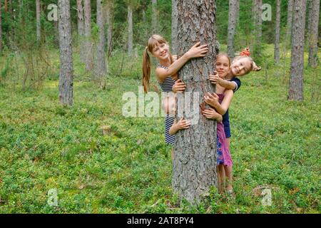 Mädchen verschiedener Altersgruppen umarmen Kiefernbaum, die in einem Sommerwald spielen Stockfoto