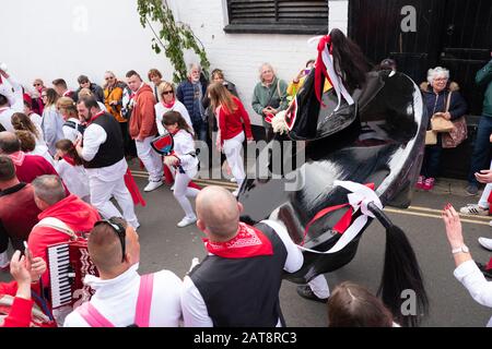 Menschenmassen nach der roten Band Obby Oss-Prozession, Padstow, Cornwall, Großbritannien Stockfoto