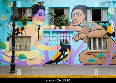 Bemalte Fassade eines Hauses in Bellavista Nachbarschaft. Santiago. Metropolregion Santiago. Chile. Stockfoto