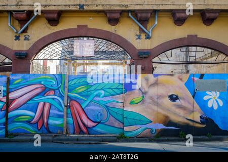 Der Süden Pudu (Pudu puda) hat eine Wand gemalt. Temuco. Region Araucania. Chile. Stockfoto