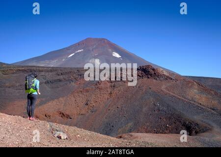 Frau steigt mit dem Lonquimay-Vulkan im Hintergrund auf den Weihnachtskrater. Malalcahuello-Nalcas National Reserve. Region Araucania. Chile. Stockfoto