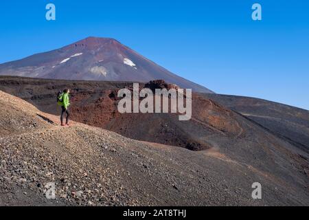Frau steigt mit dem Lonquimay-Vulkan im Hintergrund auf den Weihnachtskrater. Malalcahuello-Nalcas National Reserve. Region Araucania. Chile. Stockfoto