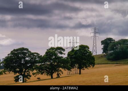 Ländliche Ackerlandschaft mit Bäumen und Pylonen in den schottischen Highlands Inverness-shire Scotland UK Stockfoto