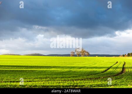 Ländliche Landschaft mit Grünfeld und bewölktem Himmel in Sachsen, Deutschland Stockfoto