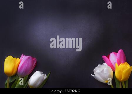 Bunte Tulpen und ein Herz gegen eine dunkelgraue Stuck-Wand Stockfoto
