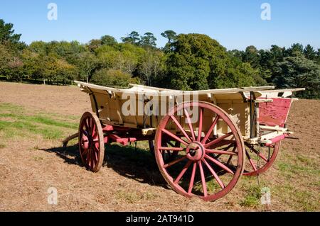 Der alte Bauernwagen in Den Lost Gardens von Heligan wird von seinen Working shire Pferden gezogen Stockfoto