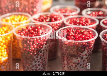 Reife organische Preiselbeeren in beschlagenen Gläsern vor dem Hintergrund von Sanddorn und Himbeeren Stockfoto