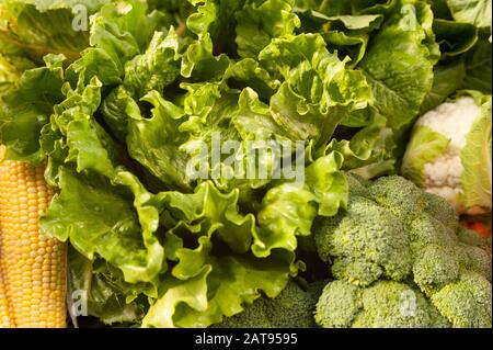 Nasser Salat hinterlässt Mais, Blumenkohl und Brokkoli Stockfoto