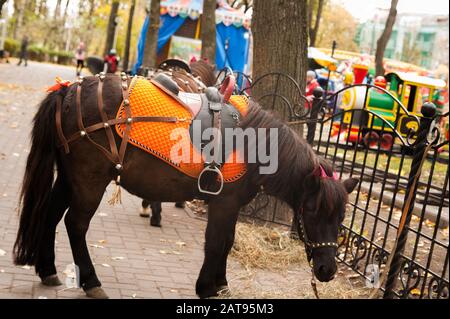 Schöner Pony mit Sattel für einen Spaziergang im Park steht auf dem Hintergrund von Fahrgeschäften Stockfoto