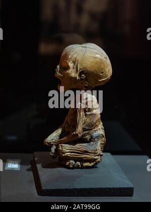 Die kleinste Mumie der Welt, wie sie im Guanajuato Mummy Museum in Guanajuato, Mexiko ausgestellt ist. Stockfoto