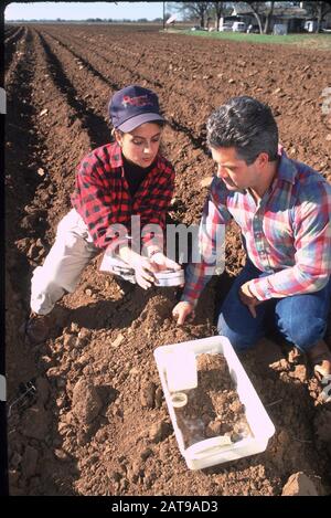 Travis County, Texas: Hispanischer Diplomand spricht mit Landwirt über Bodenschutz in einem bewirtschafteten Feld. ©Bob Daemmrich Stockfoto