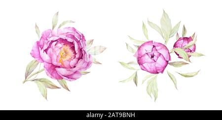 Wasserfarbenblumen. Luxus-Ponys. Einrichtung Für Hochzeitseinladungen. Luxuriöse Pinkblüte, Knospen, Blätter, Zweige. Vorgefertigte Komposition. Weißer Hintergrund. Stockfoto