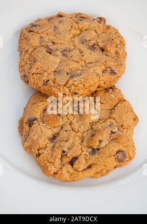 Zwei Schokoladen-Chip-Plätzchen schließen auf einem weißen Teller, der frisch aus dem Ofen gebacken wird. Stockfoto
