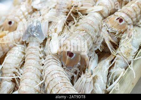 Foto von Squilla Mantis Seafood auf der Bank. Stockfoto