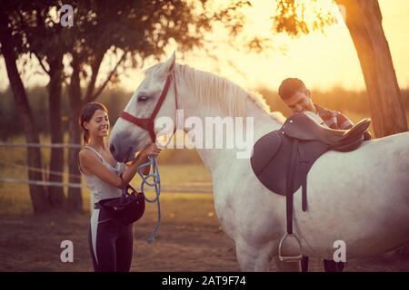 Mann legt einen Sattel auf ein Pferd, während Frau die Zügel anlegt. Training und Spaß auf der Landschaft, goldene Abendstunde. Naturkonzept Freiheit. Stockfoto