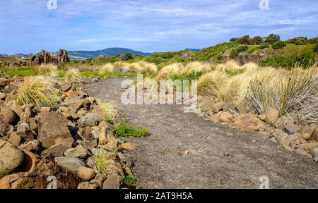 Schotterpfad mit Blick auf Basaltfelsen im Bombo Headland Steinbruch, Küste von New South Wales, Australien Stockfoto