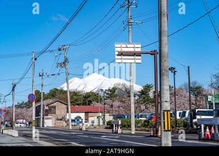 Blick auf die Straße in der Stadt Hirosaki im Frühling sonniger Tag. Kirschblütenmatsuri-Festival, Besucher genießen die Schönheit voller Blüte rosa Sakura-Bäume Blumen. Stockfoto