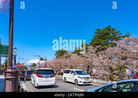 Blick auf die Straße in der Stadt Hirosaki im Frühling sonniger Tag. Kirschblütenmatsuri-Festival, Besucher genießen die Schönheit voller Blüte rosa Sakura-Bäume Blumen. Stockfoto