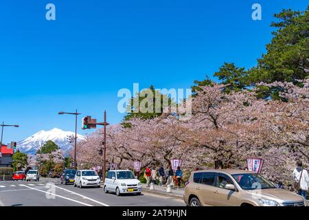 Blick auf die Straße in der Stadt Hirosaki im Frühling sonniger Tag. Kirschblütenmatsuri-Festival, Besucher genießen die Schönheit voller Blüte rosa Sakura-Bäume Blumen. Stockfoto