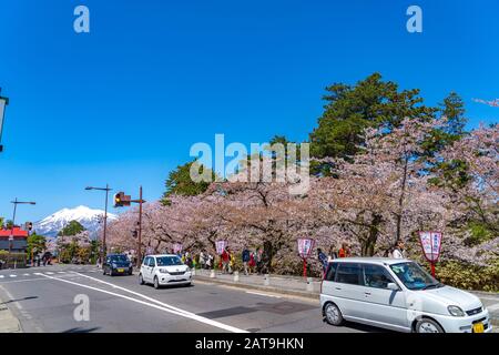 Blick auf die Straße in der Stadt Hirosaki im Frühling sonniger Tag. Kirschblütenmatsuri-Festival, Besucher genießen die Schönheit voller Blüte rosa Sakura-Bäume Blumen. Stockfoto