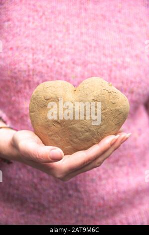 Eine weiße Frau hält eine herzförmige Kartoffel auf Brusthöhe. Konzeptionelles Bild im Zusammenhang mit Liebe, Gesundheit, Landwirtschaft. Stockfoto