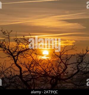 Foto Square unheimliche Bäume mit blattlosen Ästen gegen goldene Sonne und bewölkten Himmel bei Sonnenuntergang Stockfoto