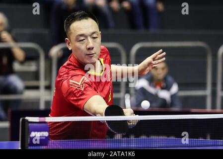 Magdeburg, Deutschland. Januar 2020. Xu Chenhao aus China gibt den Ball während der Herreneinzelrunde des 16. Spiels gegen Ma Long aus China bei den ITTF World Tour Platinum German Open 2020 in Magdeburg am 31. Januar 2020 zurück. Credit: Zhang Ping/Xinhua/Alamy Live News Stockfoto