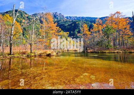 Der Fluss Azusa fließt durch den Kamikochi-Nationalpark in der Präfektur Nagano, Japan. Die Herbstsaison ist wunderschön. Stockfoto