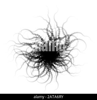 Vector Black Round Radial Ophiura Kreatur mit Tentakeln isoliert auf Weiß - Generative Kunst Stock Vektor