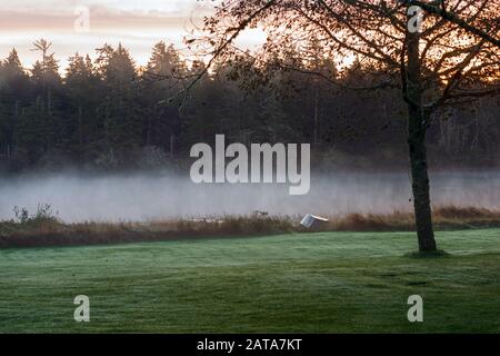 Am frühen Morgen hängt Nebel über einem Fluss Stockfoto