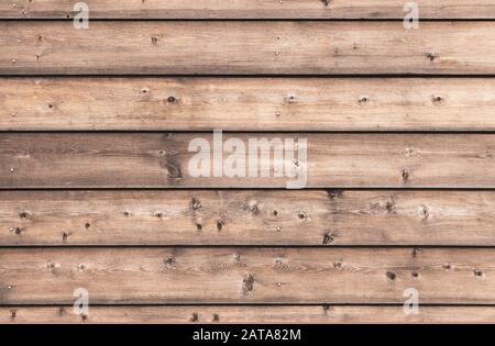 Natürliche Holzwand aus Kiefernbrettern. Fototextur mit flachem Hintergrund Stockfoto