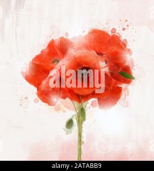 Frühlings- und Sommer-Blumen-Kollektion - roter Blumenstrauß aus Mohn im Ölmalstil Stockfoto