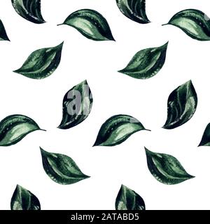 Grünes Blatt nahtloses Muster Hintergrund, Aquarell handgezeichnetes Design. Pflaumenblüte hinterlässt ein nahtloses Muster, abstrakte botanische Illustration isoliert auf weißem Hintergrund. Asiatische Blumentapeten Stockfoto