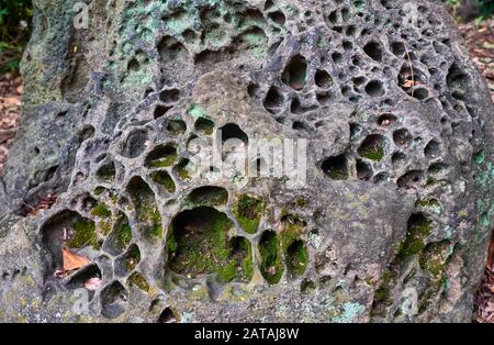 Der kavitierte Felsbrocken aus vulkanischer Lava auf dem Gebiet des alten Schreins. Japan Stockfoto