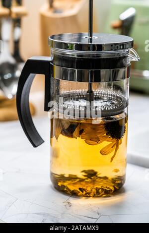 French Press Braute Green Tea und Echinacea mit Chocolate Eclairs. Organische Gesunde Heiße Getränke. Stockfoto