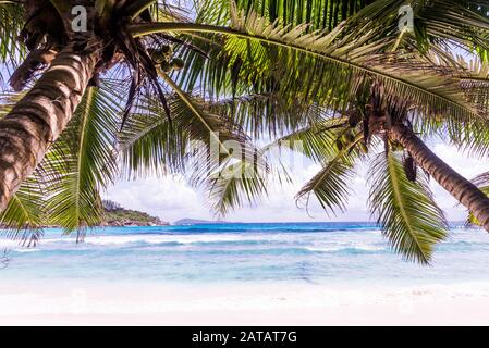 Schöner Strand mit weißem Sand auf einer tropischen Insel auf den Seychellen - Der berühmte Strand von Anse d'Argent in La Digue Stockfoto