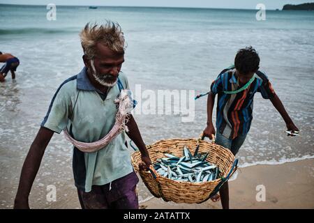 Zwei srilankische Männer, die Fische in einem Bambo-Korb am Trincomalee Strand tragen und im Ozean waschen. Stockfoto