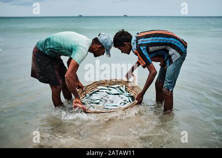 Zwei srilankische Männer, die Fische in einem Bambo-Korb am Trincomalee Strand tragen und im Ozean waschen. Stockfoto