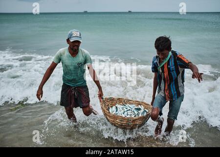 Zwei srilankische Männer, die Fische in einem Bambo-Korb am Trincomalee Strand tragen und im Ozean waschen. Stockfoto